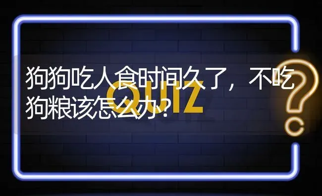 狗狗吃人食时间久了，不吃狗粮该怎么办？ | 动物养殖问答