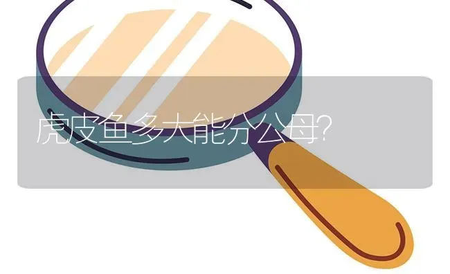 虎皮鱼多大能分公母？ | 鱼类宠物饲养