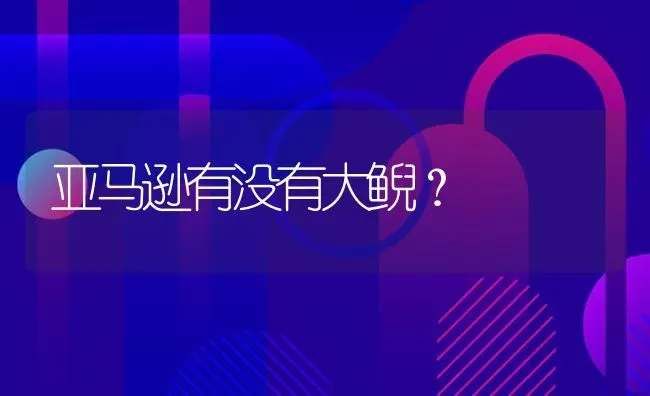 亚马逊有没有大鲵？ | 鱼类宠物饲养