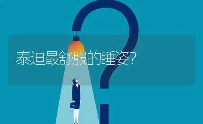 泰迪最舒服的睡姿？ | 动物养殖问答