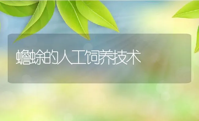 蟾蜍的人工饲养技术 | 动物养殖学堂