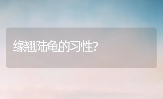 缘翘陆龟的习性？ | 动物养殖问答