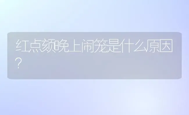 红点颏晚上闹笼是什么原因？ | 动物养殖问答