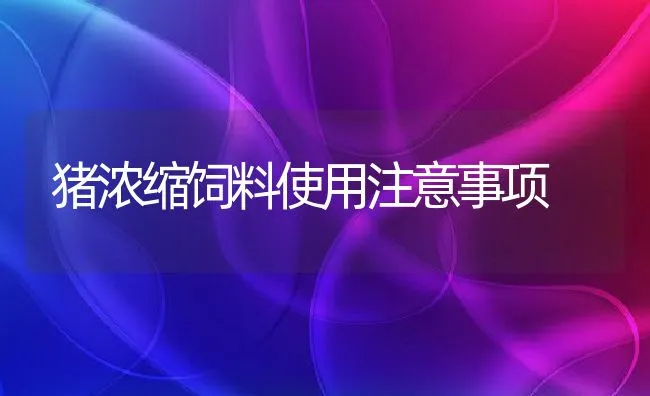 猪浓缩饲料使用注意事项 | 动物养殖饲料