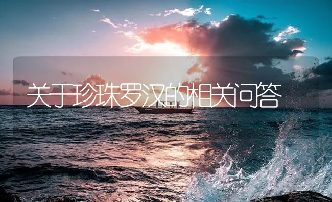 鱼塘杀菌反杀万尾加州鲈？ | 海水养殖技术