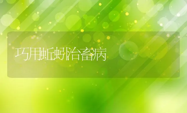 巧用蚯蚓治畜病 | 动物养殖学堂