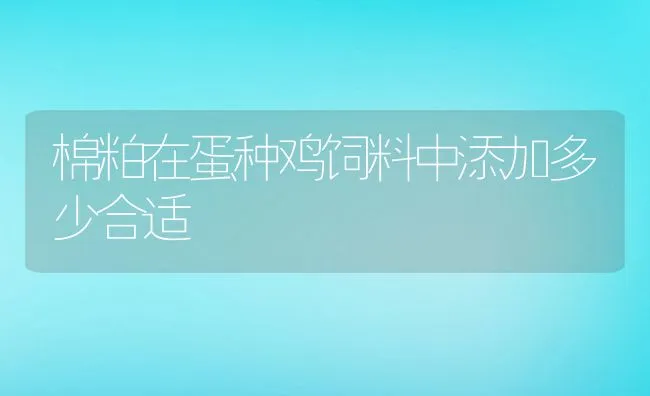 棉粕在蛋种鸡饲料中添加多少合适 | 动物养殖饲料