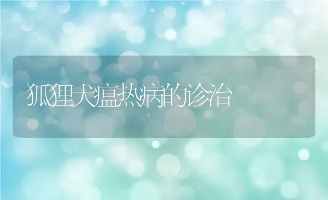 狐狸犬瘟热病的诊治 | 动物养殖百科