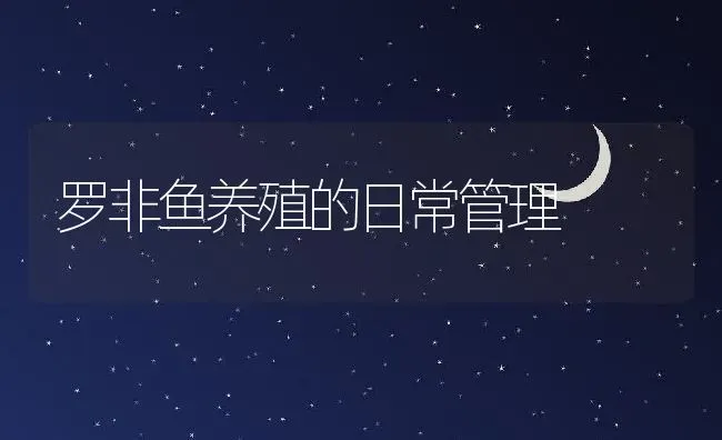 罗非鱼养殖的日常管理 | 动物养殖教程