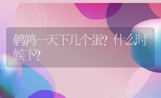 鹌鹑一天下几个蛋？什么时候下？ | 动物养殖百科