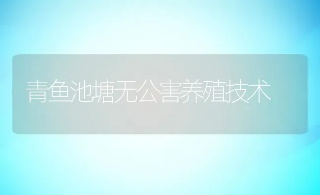 青鱼池塘无公害养殖技术 | 动物养殖教程