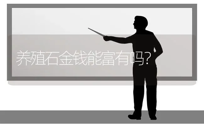 养殖石金钱能富有吗？ | 动物养殖问答