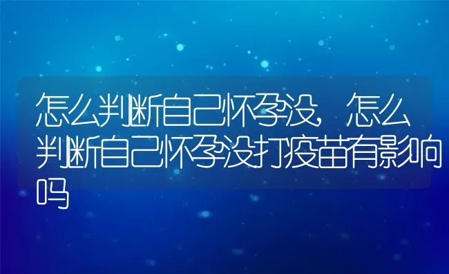 怎么判断自己怀孕没,怎么判断自己怀孕没打疫苗有影响吗 | 宠物百科知识