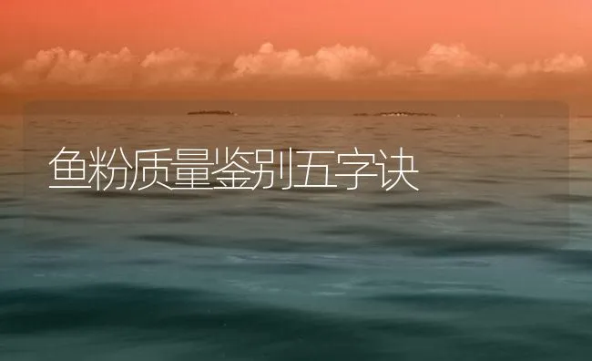 鱼粉质量鉴别五字诀 | 海水养殖技术