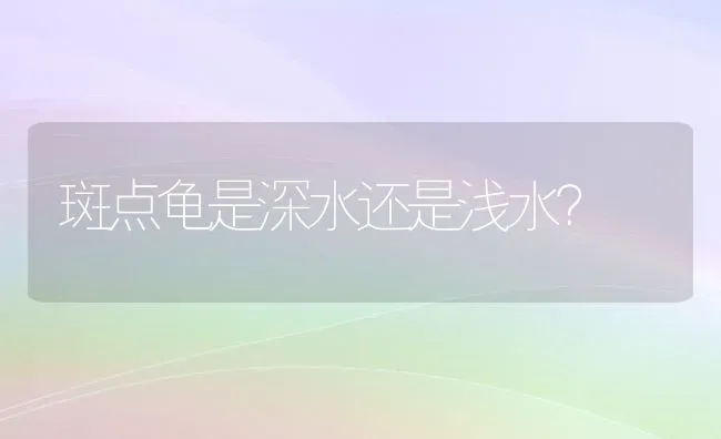 斑点龟是深水还是浅水？ | 动物养殖问答