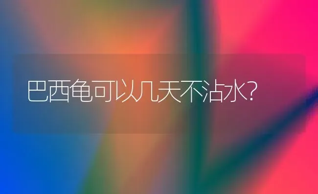 比熊几个月到几个月期间会明显长大？ | 动物养殖问答