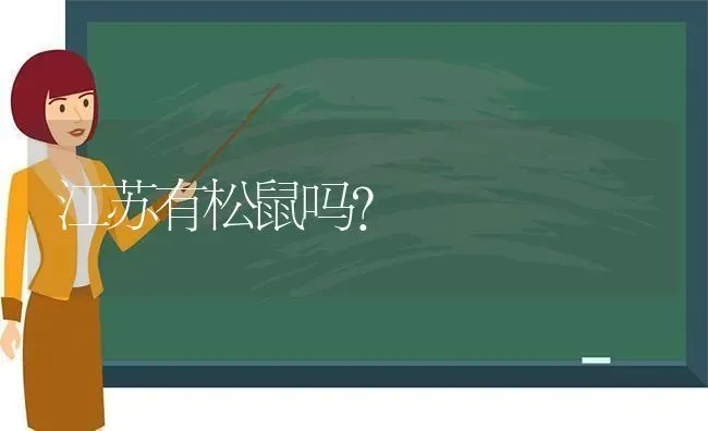 江苏有松鼠吗？ | 动物养殖问答