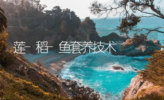 莲-稻-鱼套养技术 | 海水养殖技术