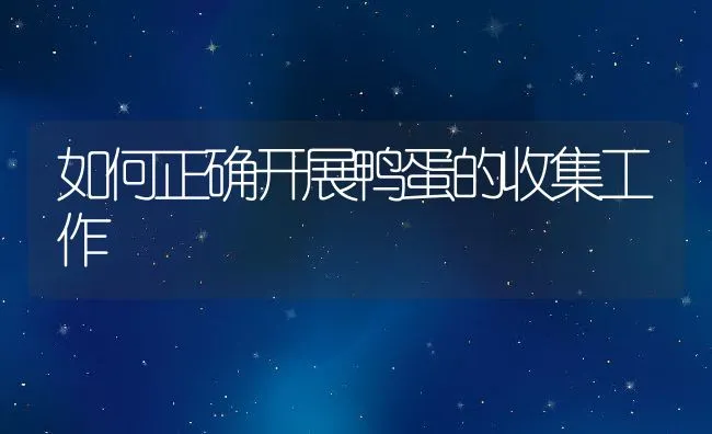 冬季如何有效预防兔呼吸疾病 | 动物养殖学堂