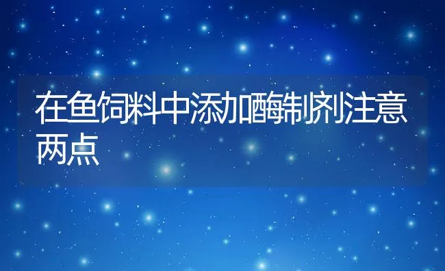 在鱼饲料中添加酶制剂注意两点 | 动物养殖饲料