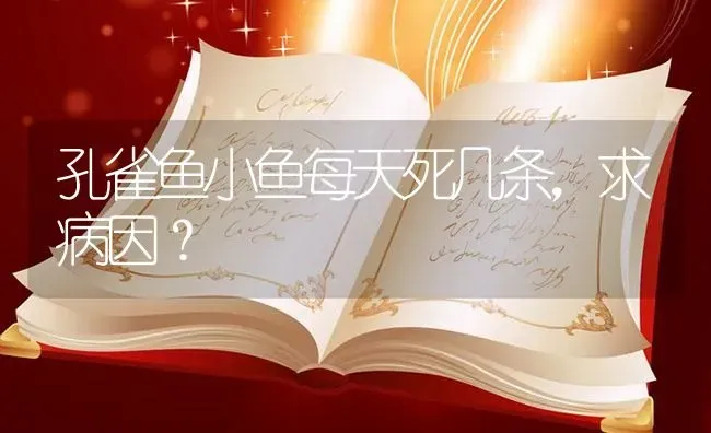 孔雀鱼小鱼每天死几条，求病因？ | 鱼类宠物饲养