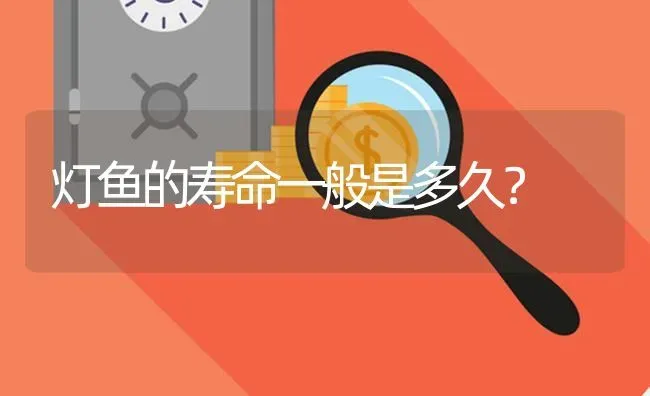 灯鱼的寿命一般是多久？ | 鱼类宠物饲养