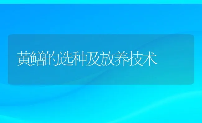 黄鳝的选种及放养技术 | 动物养殖学堂