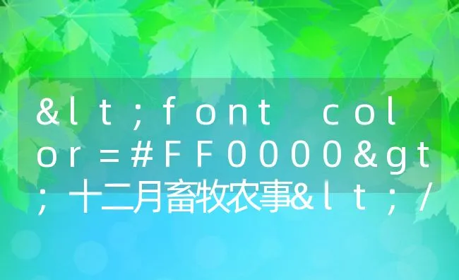 <font color=#FF0000>十二月畜牧农事</font> | 动物养殖饲料