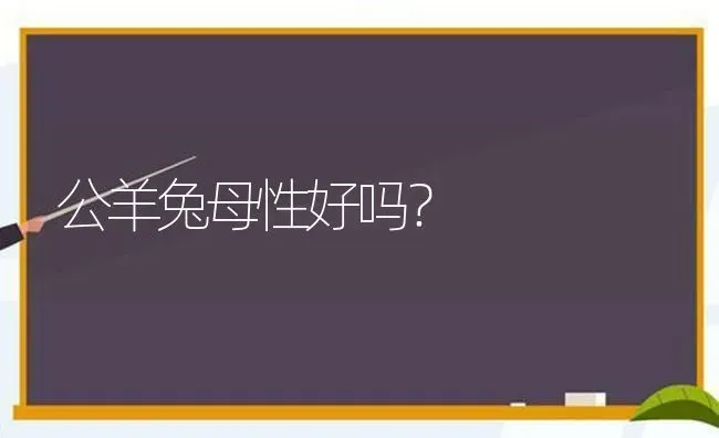 猫咪做完绝育手术后多久可以给洗澡？ | 动物养殖问答