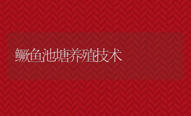 鳜鱼池塘养殖技术 | 动物养殖饲料