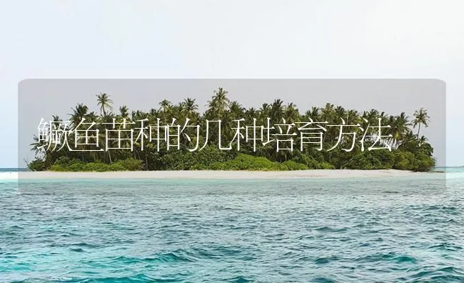 鳜鱼苗种的几种培育方法 | 海水养殖技术