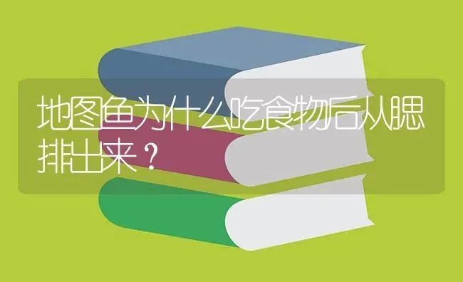 地图鱼为什么吃食物后从腮排出来？ | 鱼类宠物饲养