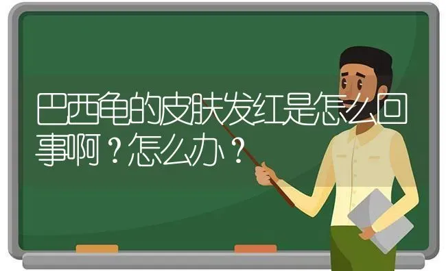 巴西龟的皮肤发红是怎么回事啊？怎么办？ | 动物养殖问答