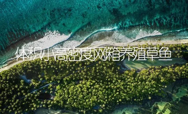 体积小高密度网箱养殖草鱼 | 海水养殖技术