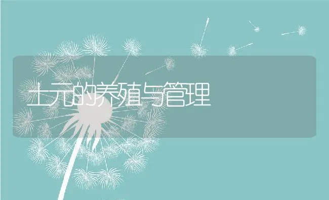 土元的养殖与管理 | 动物养殖饲料