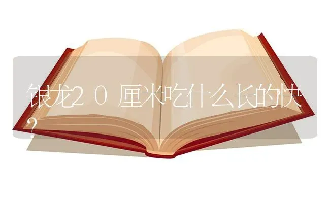 银龙20厘米吃什么长的快？ | 鱼类宠物饲养