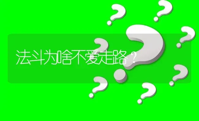 法斗为啥不爱走路？ | 动物养殖问答