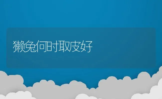 獭兔何时取皮好 | 动物养殖饲料