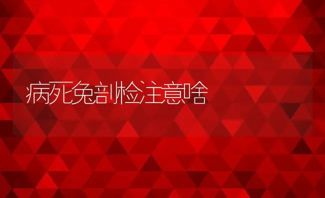 病死兔剖检注意啥 | 水产养殖知识