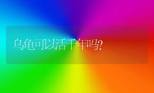 乌龟可以活千年吗？ | 动物养殖问答