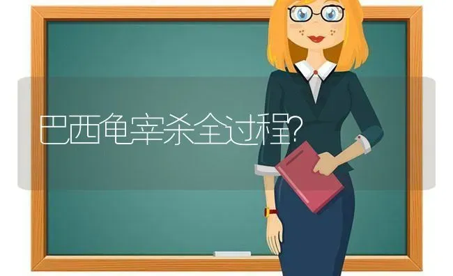 哪个品种的狗不掉毛，适合有小孩的家庭养？ | 动物养殖问答