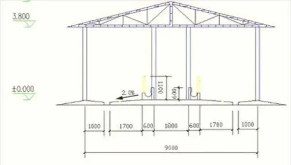 50头牛养牛场建设图片
