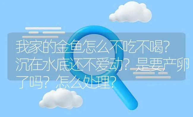 我家的金鱼怎么不吃不喝？沉在水底还不爱动？是要产卵了吗？怎么处理？ | 鱼类宠物饲养