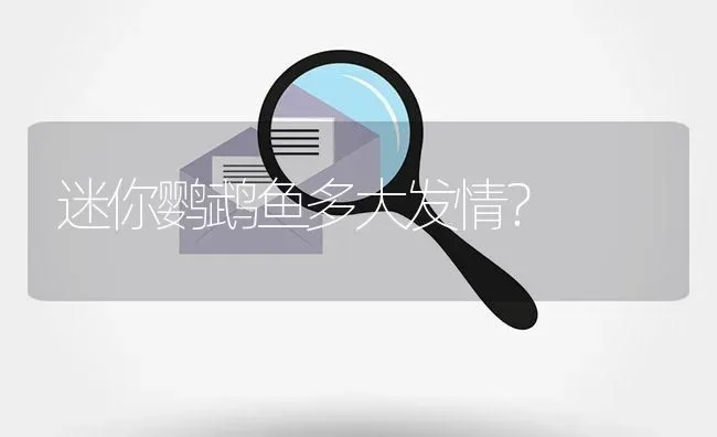 迷你鹦鹉鱼多大发情？ | 鱼类宠物饲养