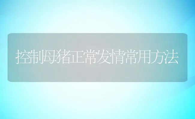 控制母猪正常发情常用方法 | 动物养殖学堂