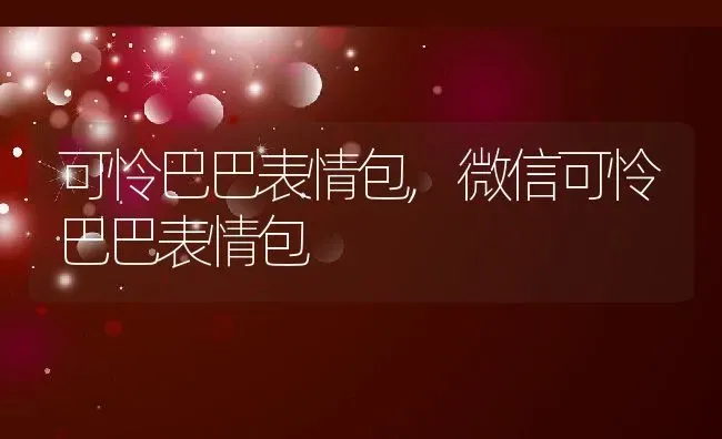 可怜巴巴表情包,微信可怜巴巴表情包 | 宠物百科知识