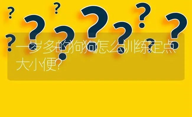 一岁多的狗狗怎么训练定点大小便？ | 动物养殖问答