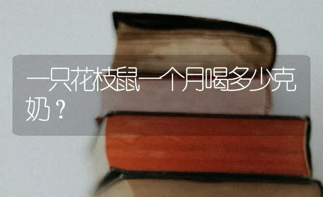 一只花枝鼠一个月喝多少克奶？ | 动物养殖问答