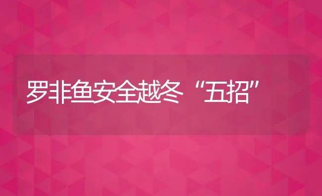 罗非鱼安全越冬“五招” | 动物养殖饲料