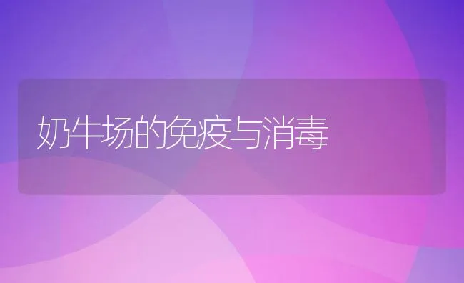 奶牛场的免疫与消毒 | 动物养殖学堂